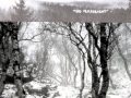 Mount Eerie: No Flashlight