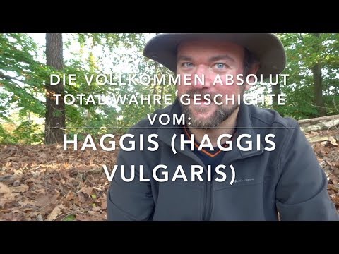 The Haggis - Ben's Mysterious Animal Life...