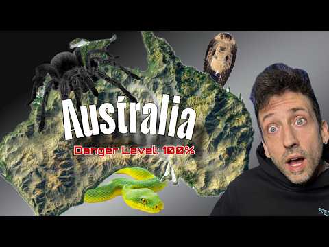 Here's Every Dangerous Animal In Australia!