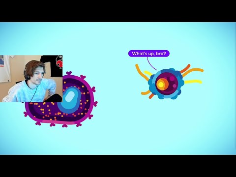 xQc reacts to How The Immune System ACTUALLY Works | Kurzgesagt – In a Nutshell