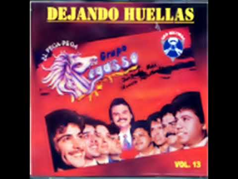 Pegasso De Emilio Reyna - Tu Testigo
