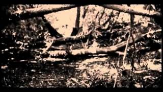 Mason Jennings - An Interpretation of Soldier Boy