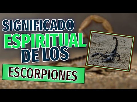 #ALACRANES-🦂 Significado espiritual de los alacranes ¿Qué mensajes nos dan?