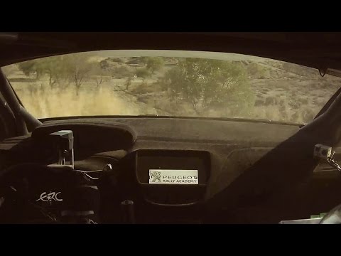 FIA ERC Asfalistiki Cyprus Rally 2014 - Breen Mr. 360°