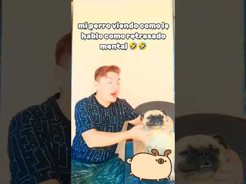 Cuando tu perro ya no te soporta 😁