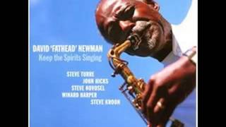 David &quot;Fathead&quot; Newman - Willow Weep For Me (2001)