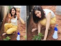 Actress Raashi Khanna Accepts Rashmika S Green India Challenge Manastars