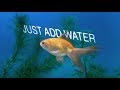 Just Add Water by Cavetown