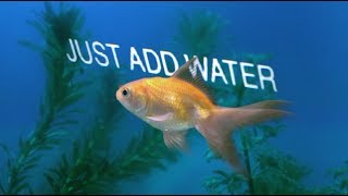 Just Add Water (Official Lyric Video)