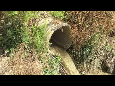 Raul Bistrita-Savinesti (6 septembrie 2019)