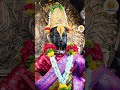 भागवत एकादशी Ekadasi Status Vitthal Status HD Vitthal Status Vithuraya Pandura