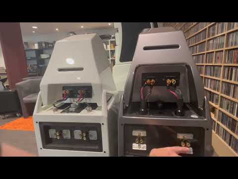 Wilson Audio Sasha V | Watt bis Sasha V