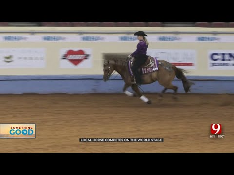 Horse Of Overcomes Near Death Surgery To Compete In NRHA Derby