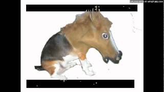 Run On Sentence - November Nights