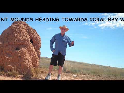 Thumbnail for In Mar - May 2012-Camry Altise & Avan Cruiseliner & I journeyed Adelaide - Perth - Darwin - Adelaide