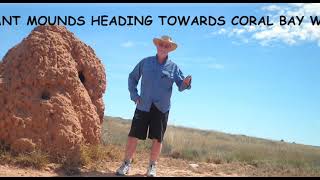 In Mar - May 2012-Camry Altise & Avan Cruiseliner & I journeyed Adelaide - Perth - Darwin - Adelaide