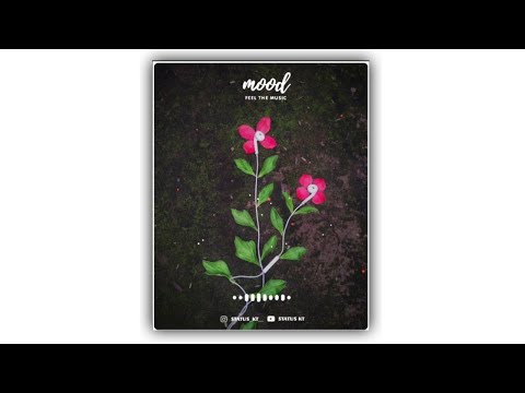 Tune to pal bhar me , duur kiya re jiya - love whatsapp video status download 2021