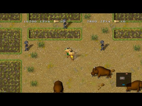 Gameplay Video