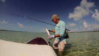 Lava Lamp: Life Short Call Now