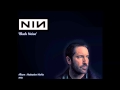 Nine Inch Nails, Black Noise.