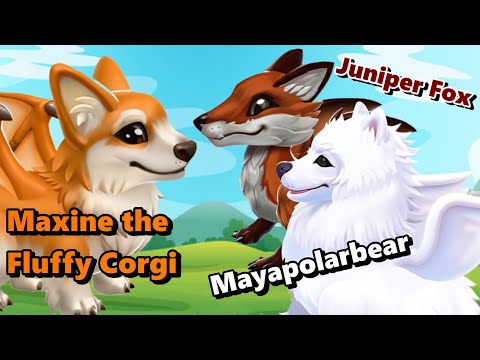 NEW Furry Dragon Names & Images REVEALED! Mayapolarbear, Juniper Fox & Maxine the Corgi! - DML #1745