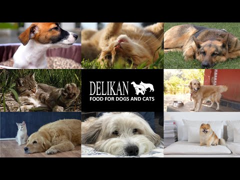 DELIKAN SUPRA PRODUCTS