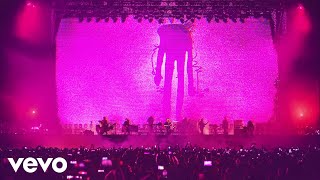 Zoé - Nunca (Visualizer/ En Vivo)