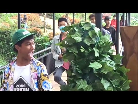 just-for-fun-bushman-prank-indonesia