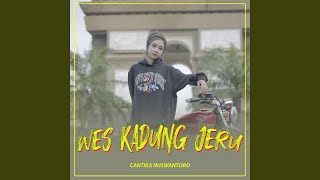 Download lagu WES KADUNG JERU mp3 Download lagu WES KADUNG JERU mp3