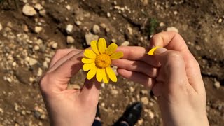 Violência contra as mulheres: o que os profissionais de saúde têm a ver com isso?