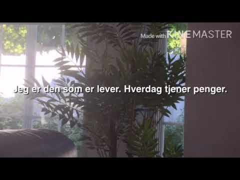 Filastilen - Vnko LYRICS EDITION