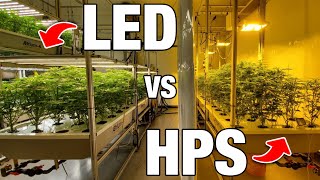 LED vs HPS: Grow Lighting in 2025