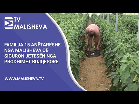 Familja 15 anëtarëshe nga Malisheva që siguron jetesën nga prodhimet bujqësore