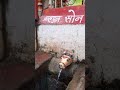 Bramhaputra Son Udagam Amarkantak Amarkantak Nature Reels Status Tiktok Viral Trending