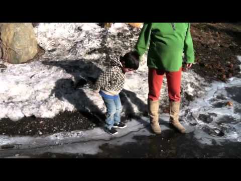 Muzzy mama frozen puddle