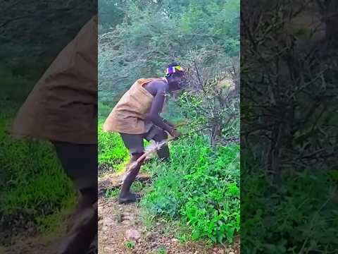 INACREDITÁVEL! Caçadores Capturam um Veado de Ouro Gigante na Selva #Veado #Caça #Natureza #Aventura