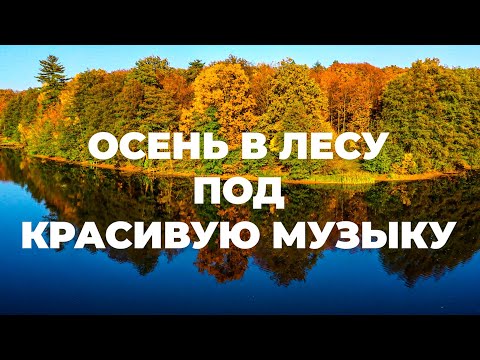 Осень в лесу под красивую музыку 4K. Осенняя листва для релаксации