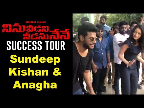 Ninu Veedani Needanu Nene Team Success Tour