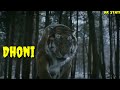 CSK 2019 WhatsApp Status CSK WhatsApp Status 2019 CSK Vs RCB WhatsApp Status Csk Rcb Dhoni