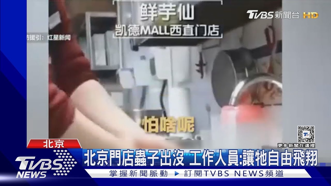 店員:「讓蟲子自由飛吧!」 食材沒封、果蠅一堆北京2家鮮芋仙關閉整頓