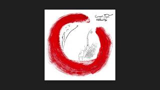 CURRENT JOYS - BECOME THE WARM JETS