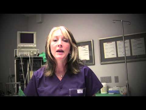 乳房健康宣傳月 (Breast Health Awareness Month)