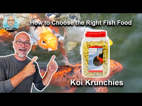 Aquascape Fish Food Feeding Tips