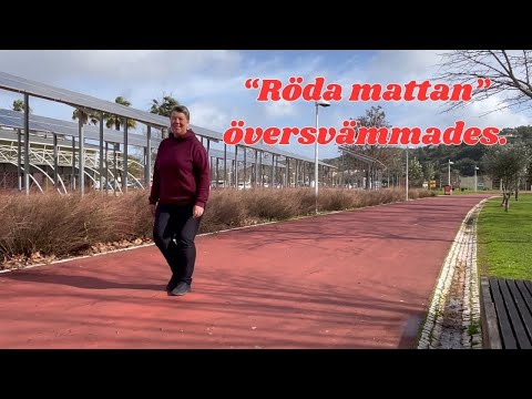 Mycket elände och ändrade planer!