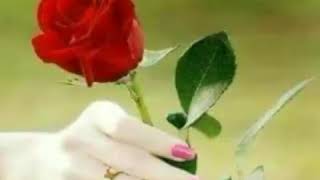 Download lagu Menari Diatas Luka mp3