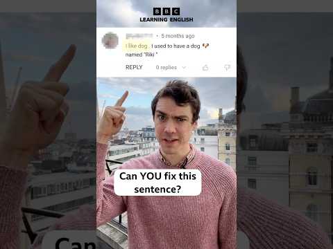 ‘I like dog’ – 🔧 Fix this sentence!