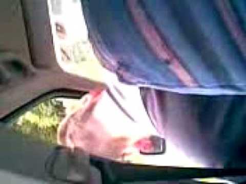 Some drunk shithead on the way to thurles