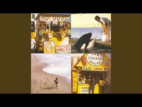 Video thumbnail for Wish He Was You