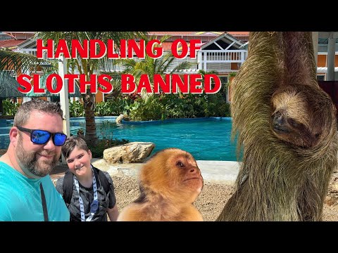 Pool and Sloths | Ultimate Roatan Travel Guide | Travels Large