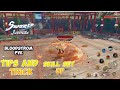 Sword Of Justice Global BloodStrom PVE Tips And Trick Combo Set Up